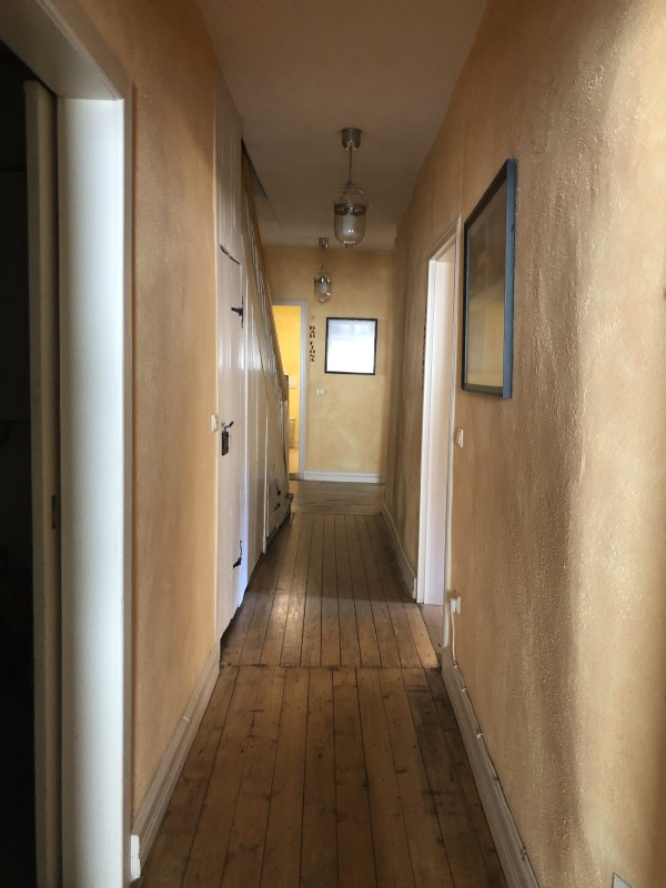 Altstadtmeise Elegance