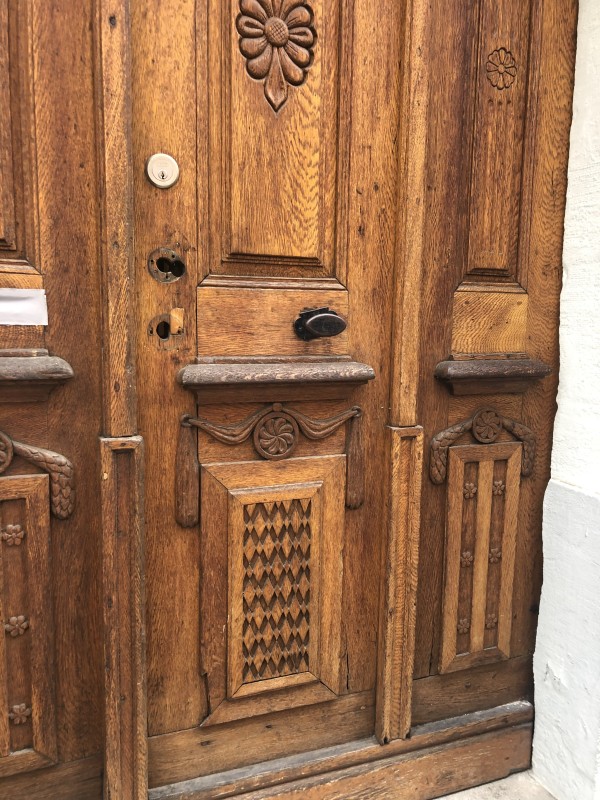 Altstadtmeise Elegance