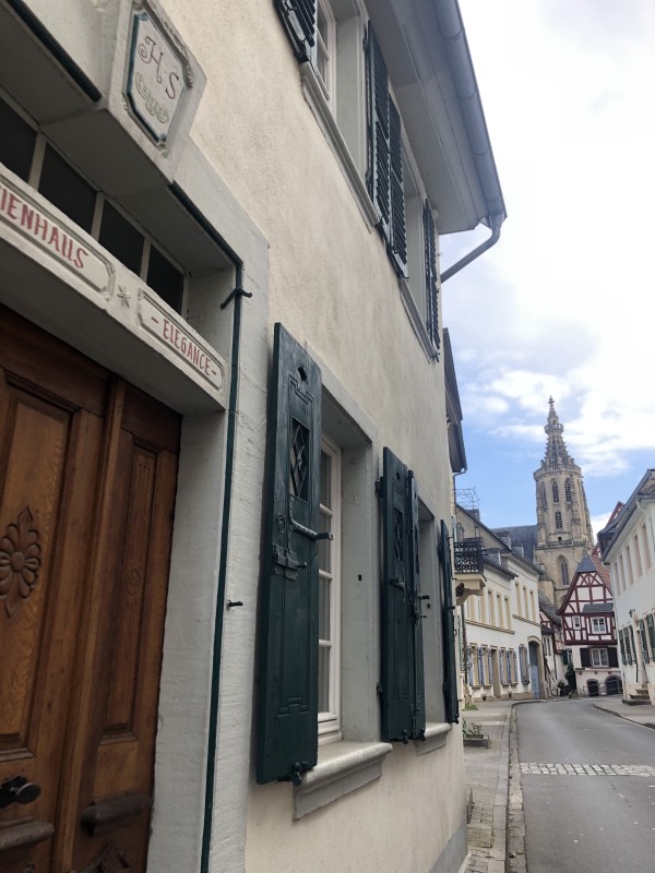 Altstadtmeise Elegance