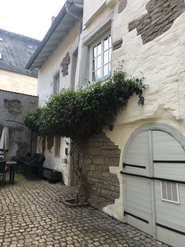 Altstadtmeise Rustika