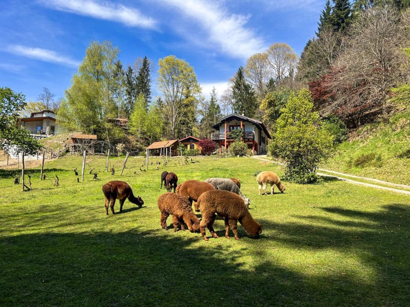 Ca. 60.000 m² großes Gemeinschaftsgrundstück, davon 5.000 m² großer Garten mit Barbecue