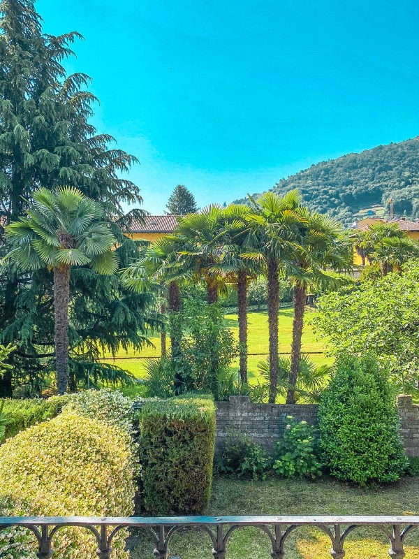 Blick in den Garten