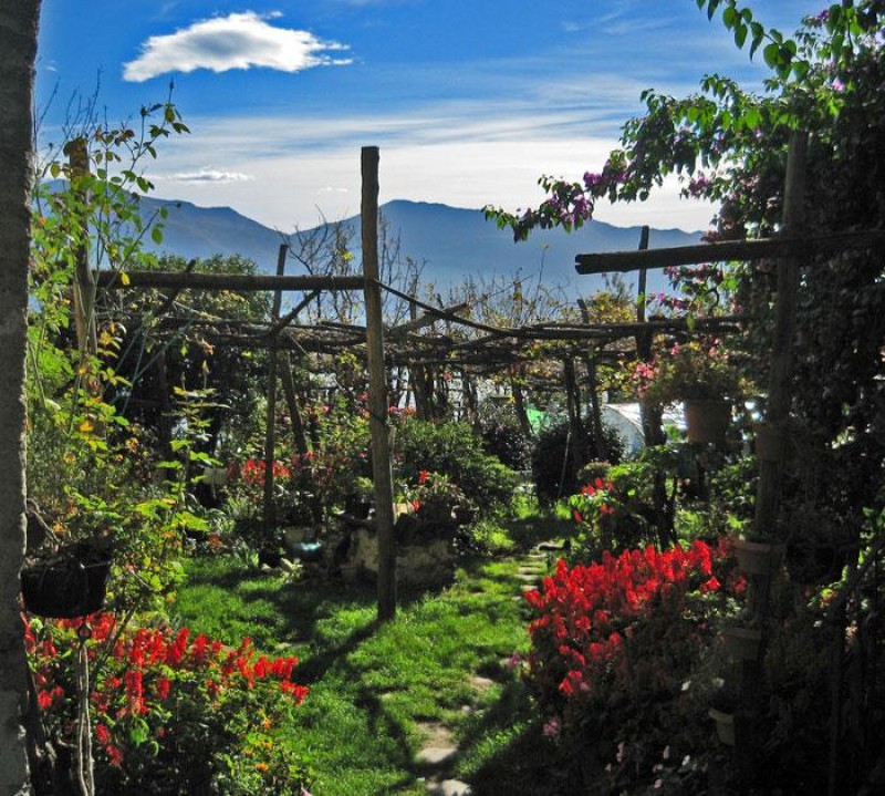 Ca. 150 m² Gemeinschaftsgarten mit Weinpergola und teilweise fantastischer Sicht auf den See, die Schlösser von Cannero und die umliegenden Berge