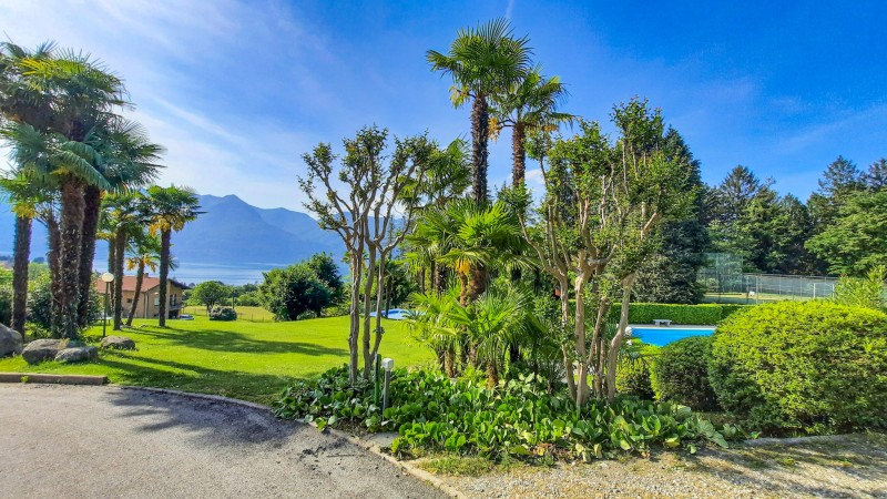 Liegewiese mit Pool (ca. 16 m x 8 m)