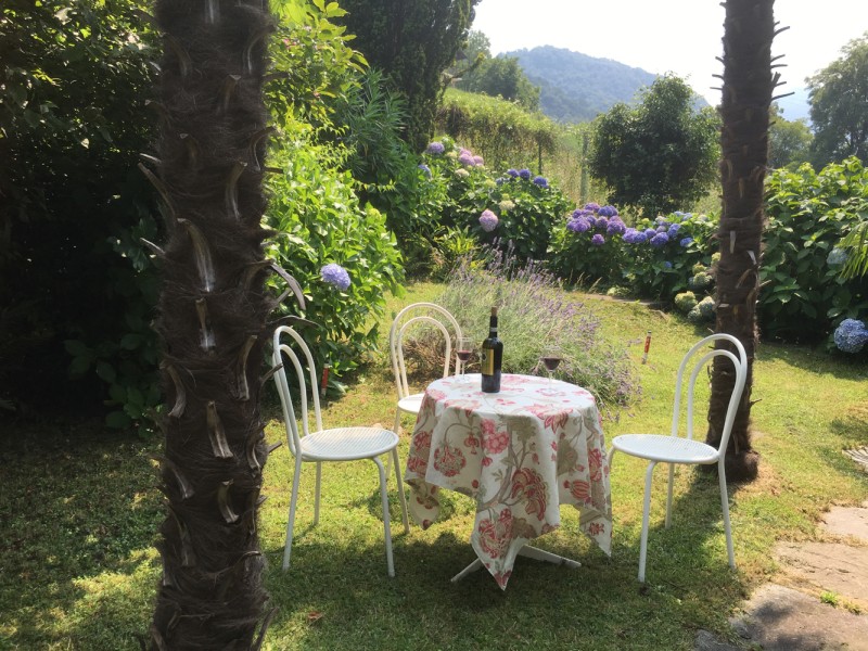 Ca. 500 m² großer Sonnengarten