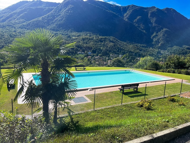 Ca. 16 m x 8 m großer Pool