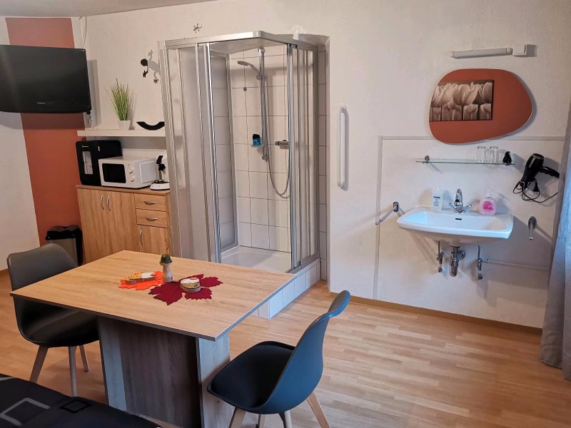 Waschtisch, Dusche, Geschirrschrank, TV und DAB Radio